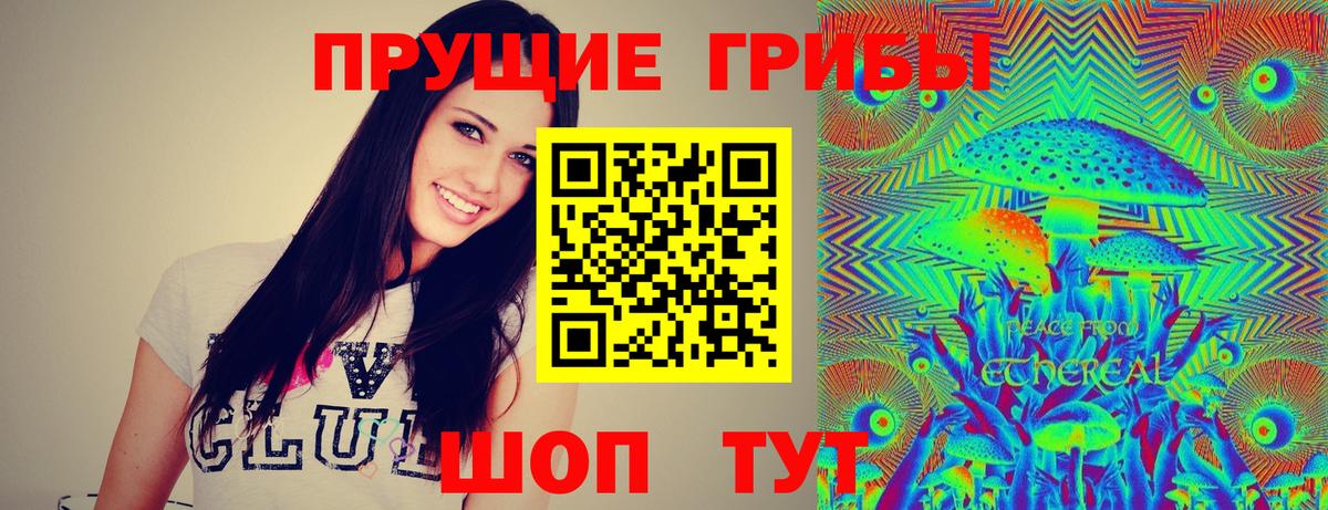 Павлово  Псилоцибиновые грибы мицелий  Вход с VPN 