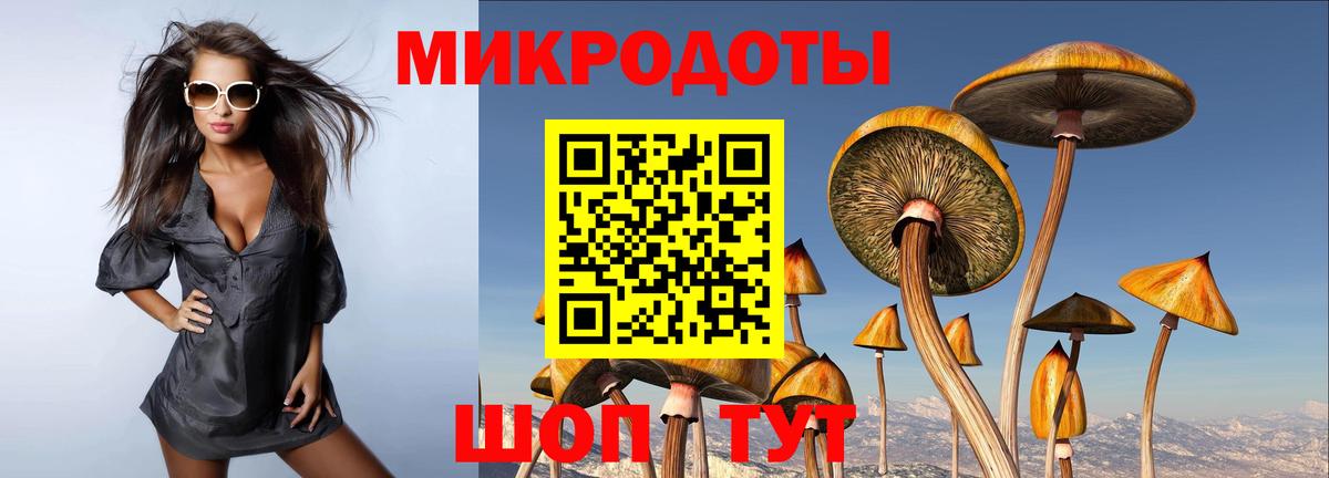 Псилоцибиновые грибы прущие грибы Павлово